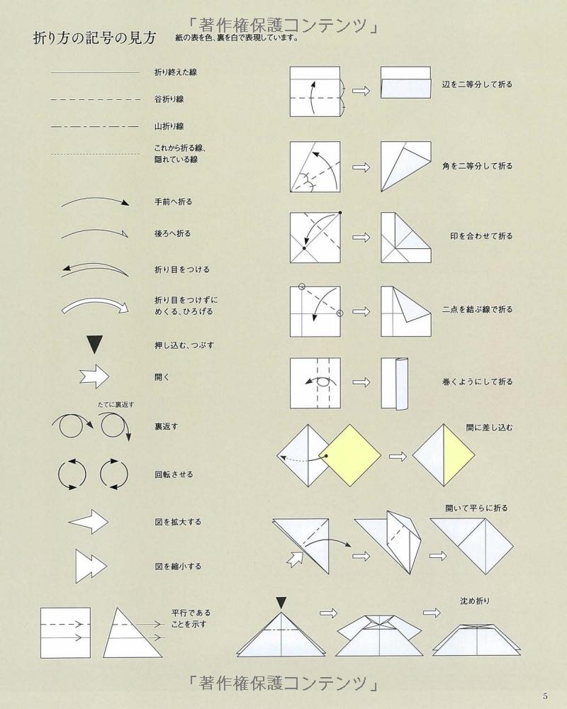 Beautiful Origami Roses with DVD instruction - Japanese Craft Book