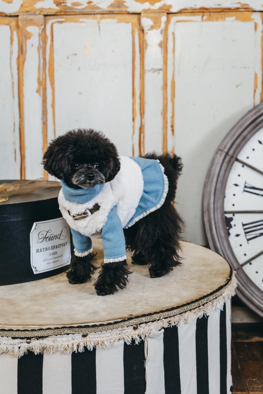 Commercial Use OK! Stylish Dog Clothes: Enjoy Layering and Matching Tops and Bottoms - Japanese Craft Book