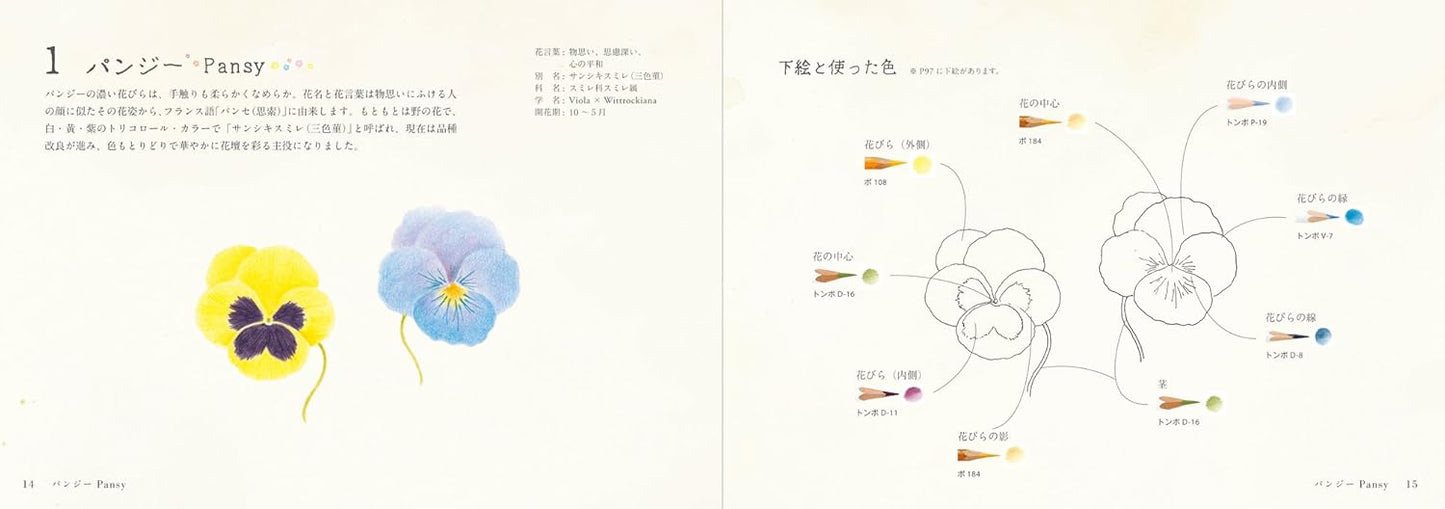 How to Draw Pretty Illustrations with Colored Pencils - Japanese Craft Book
