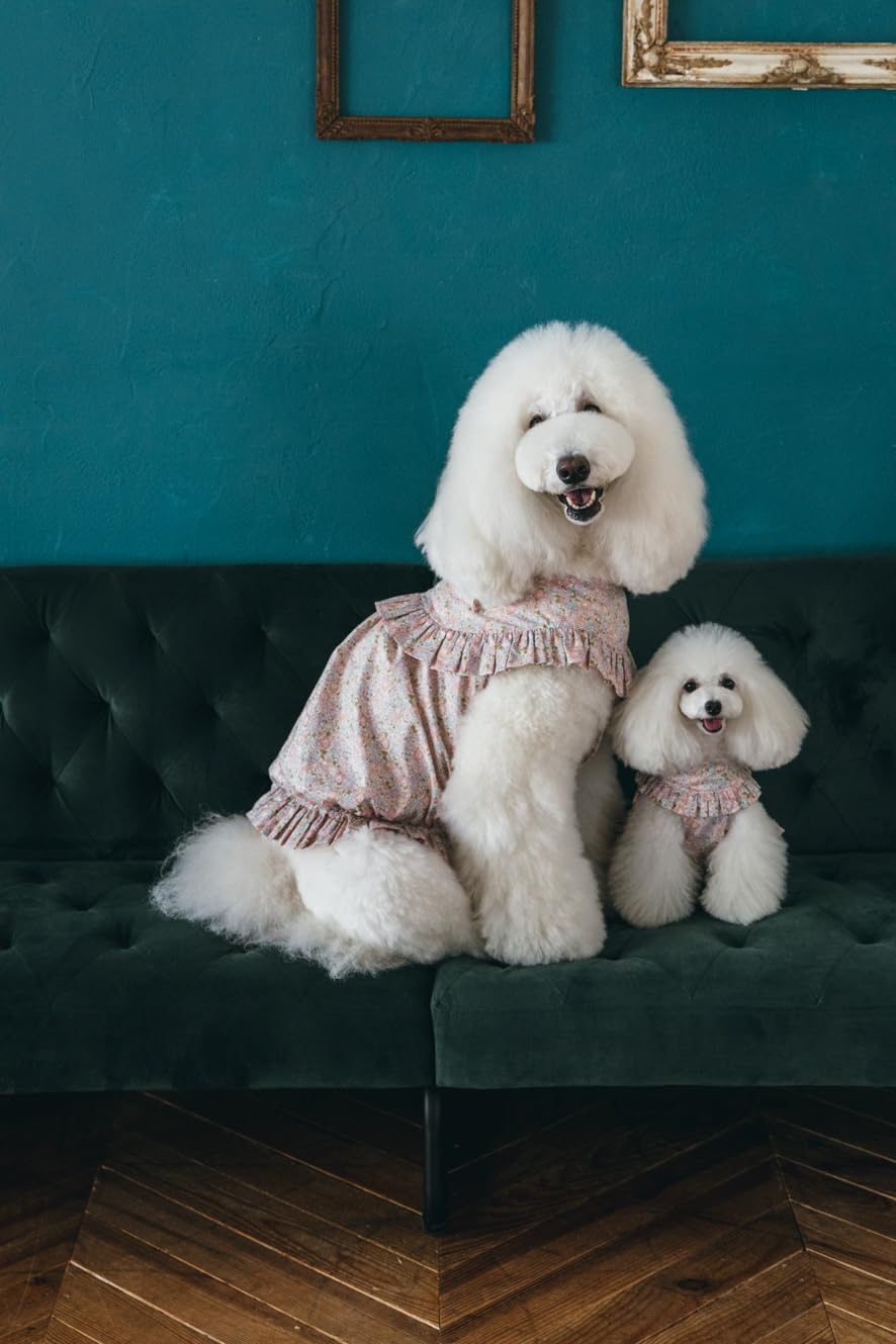 Commercial Use OK! Stylish Dog Clothes: Enjoy Layering and Matching Tops and Bottoms - Japanese Craft Book