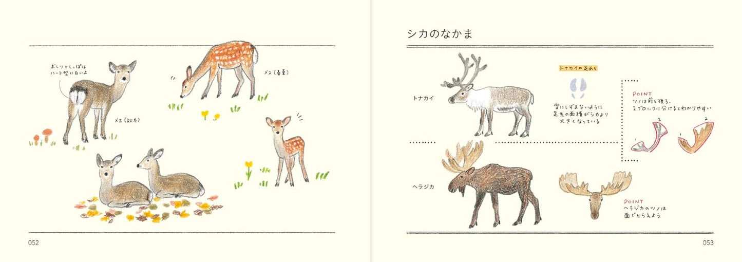 How to Draw Animals Illustration Lesson Book - Japanese Craft Book