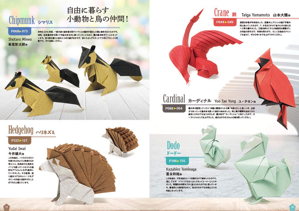 New Generation of Origami - Japanese Craft Book
