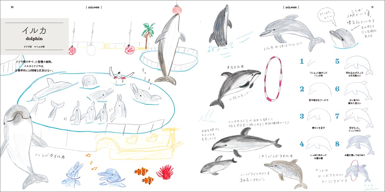 How to Draw Aquarium Animals Illustration Lesson Book - Japanese Craft Book
