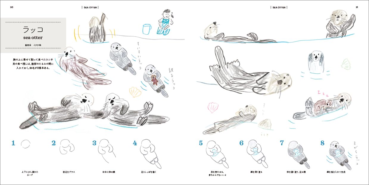 How to Draw Aquarium Animals Illustration Lesson Book - Japanese Craft Book