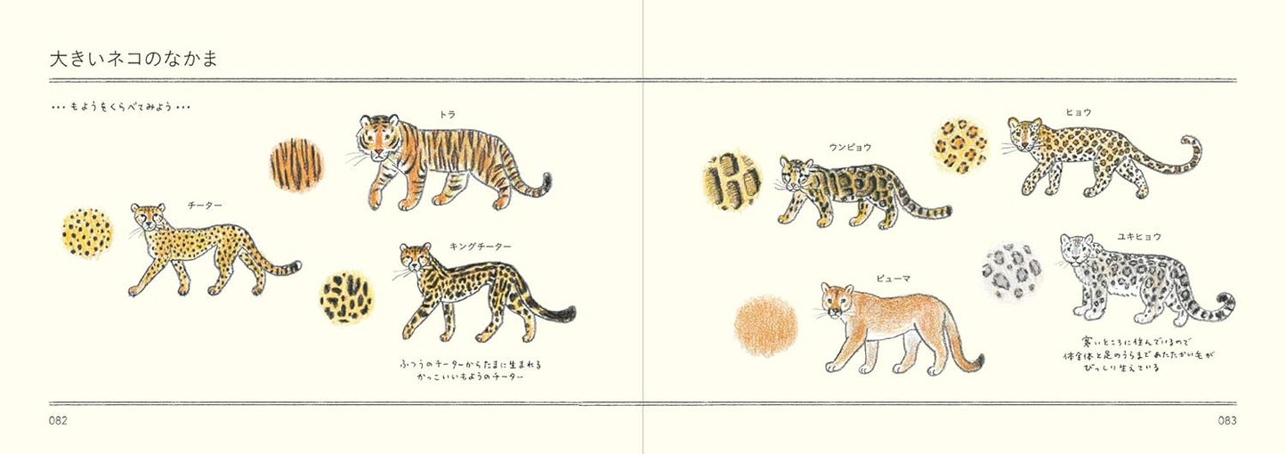 How to Draw Animals Illustration Lesson Book - Japanese Craft Book