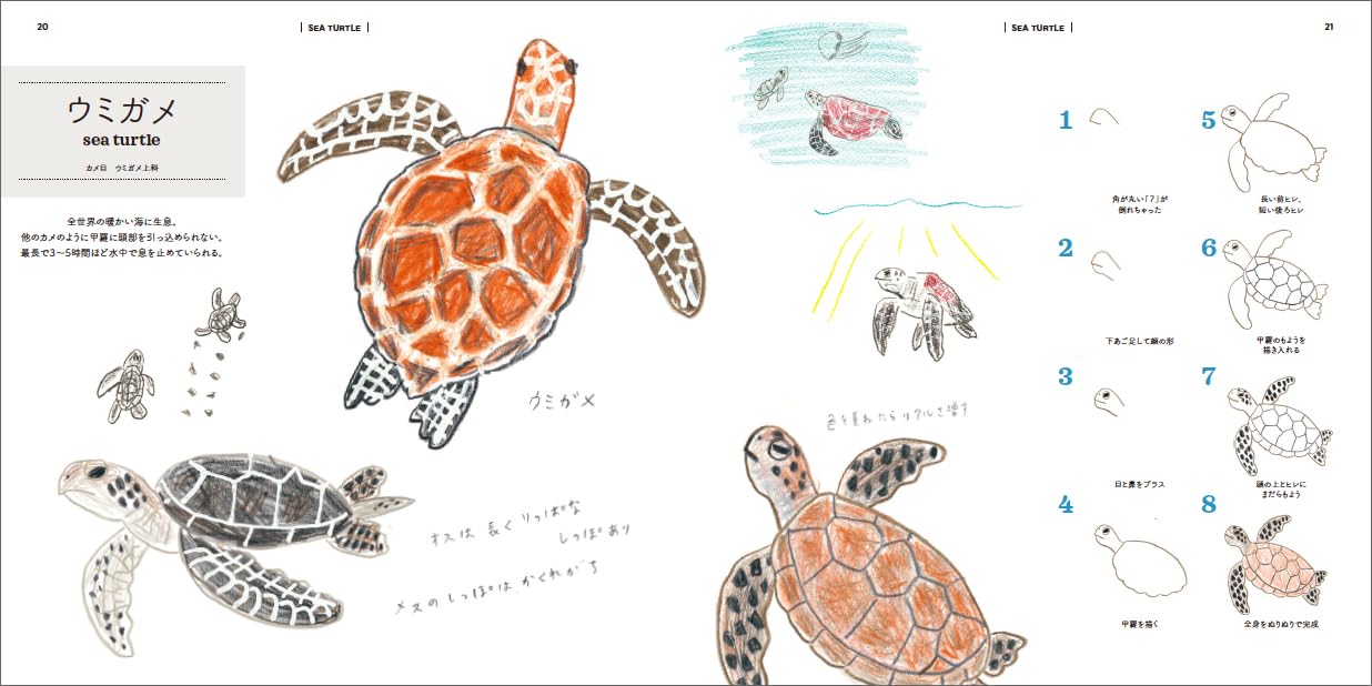 How to Draw Aquarium Animals Illustration Lesson Book - Japanese Craft Book