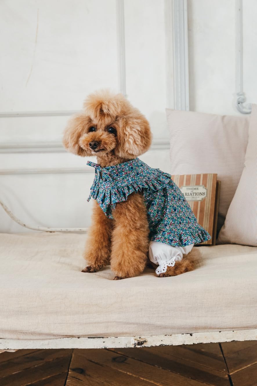 Commercial Use OK! Stylish Dog Clothes: Enjoy Layering and Matching Tops and Bottoms - Japanese Craft Book