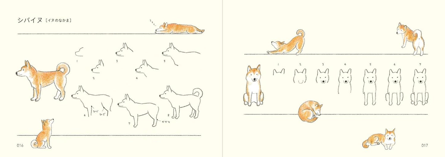 How to Draw Animals Illustration Lesson Book - Japanese Craft Book