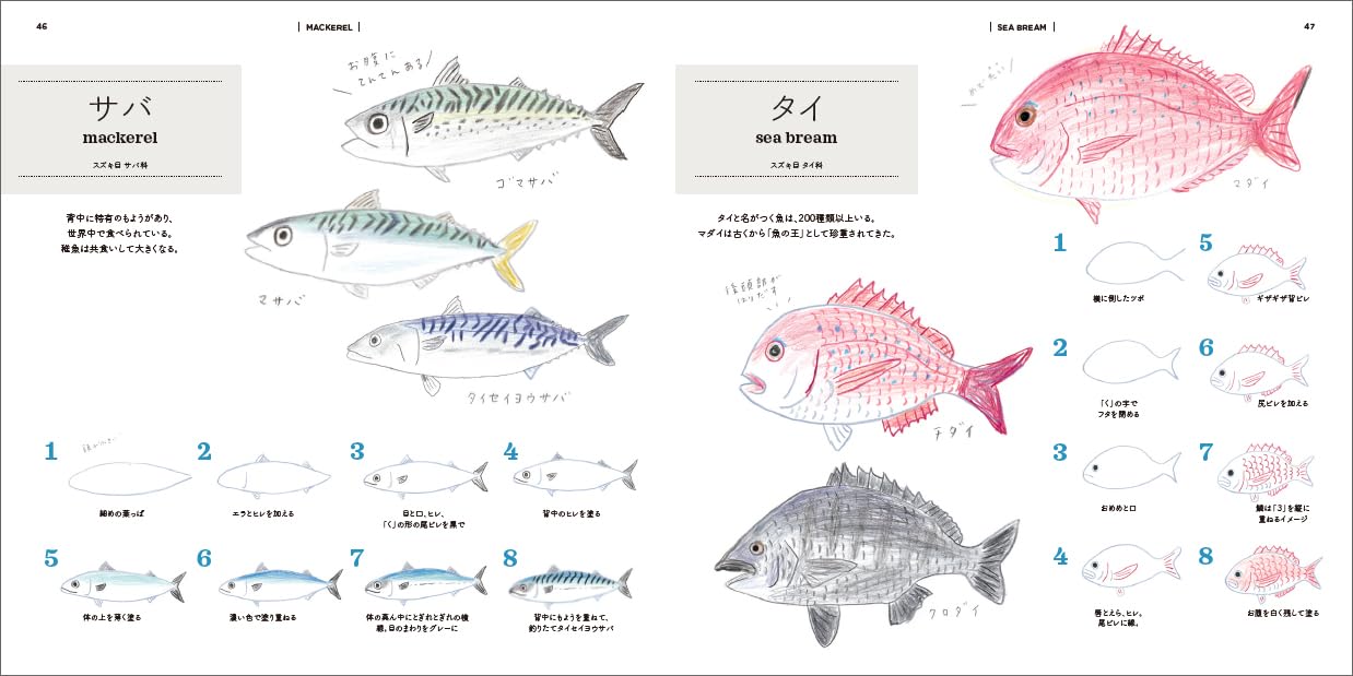 How to Draw Aquarium Animals Illustration Lesson Book - Japanese Craft Book