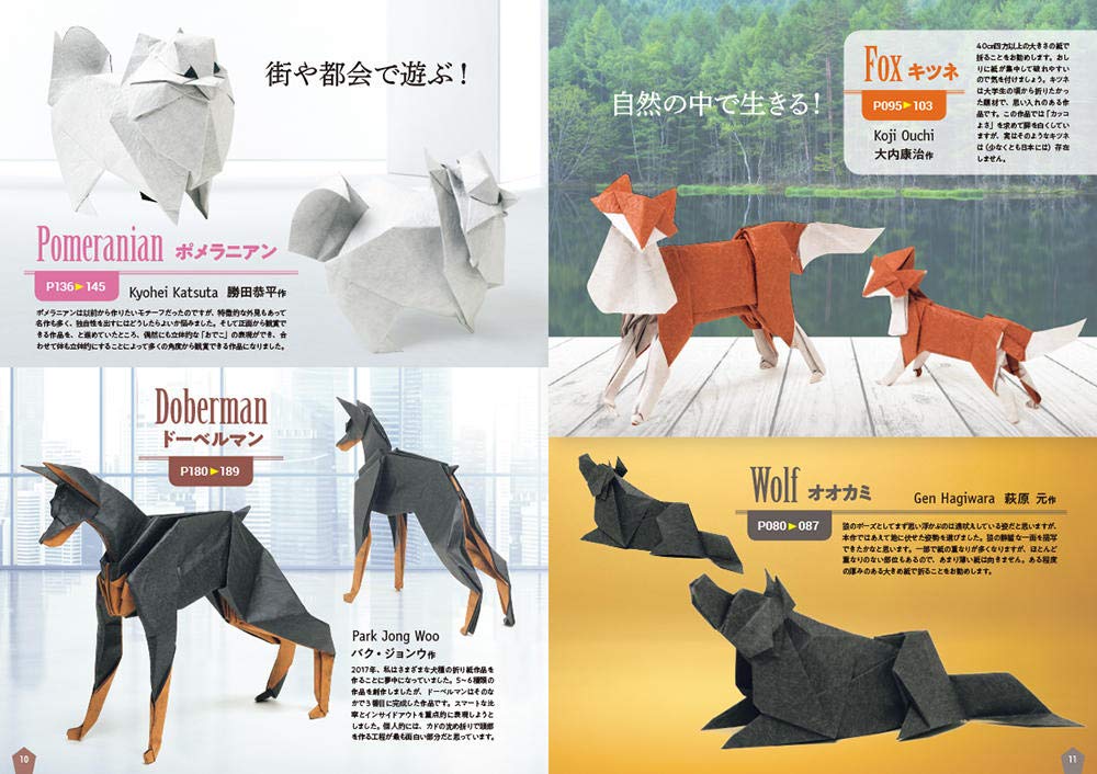 New Generation of Origami - Japanese Craft Book