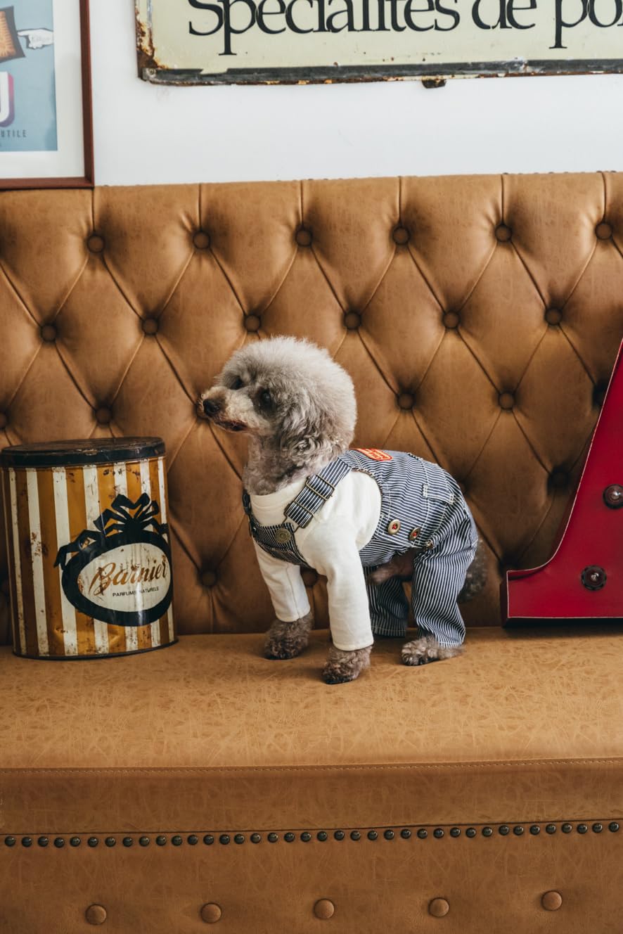 Commercial Use OK! Stylish Dog Clothes: Enjoy Layering and Matching Tops and Bottoms - Japanese Craft Book