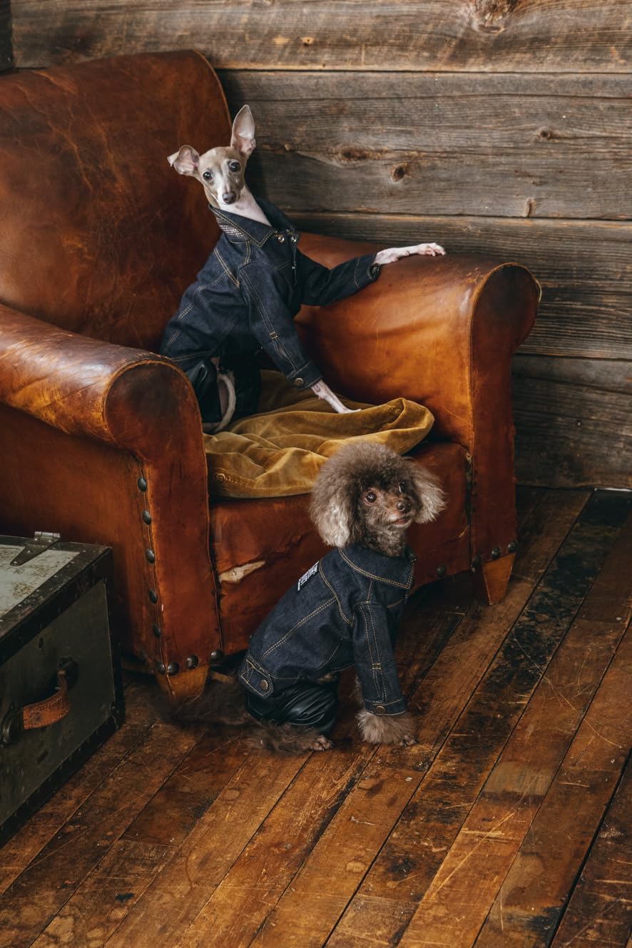 Commercial Use OK! Stylish Dog Clothes: Enjoy Layering and Matching Tops and Bottoms - Japanese Craft Book