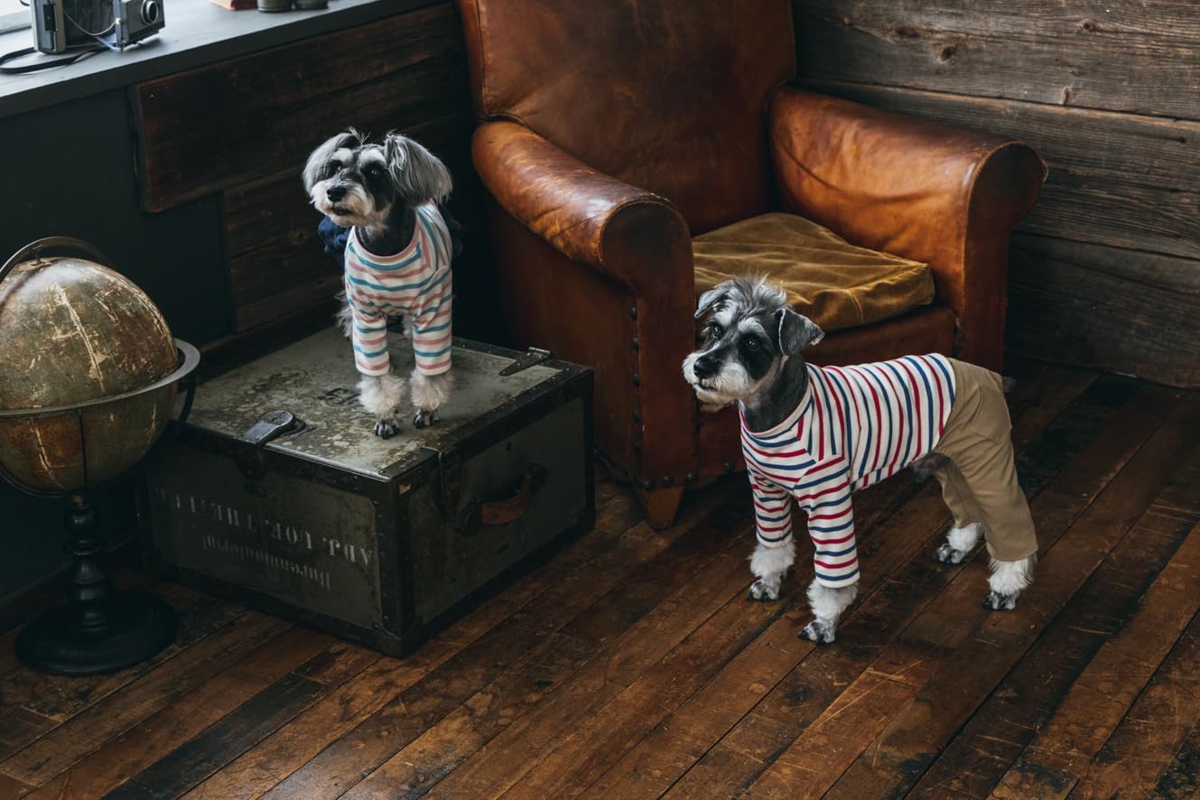 Commercial Use OK! Stylish Dog Clothes: Enjoy Layering and Matching Tops and Bottoms - Japanese Craft Book