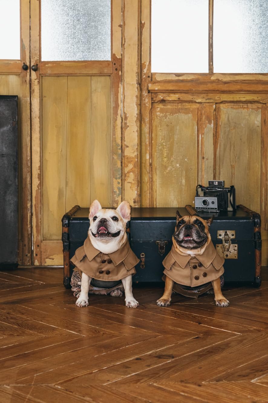 Commercial Use OK! Stylish Dog Clothes: Enjoy Layering and Matching Tops and Bottoms - Japanese Craft Book
