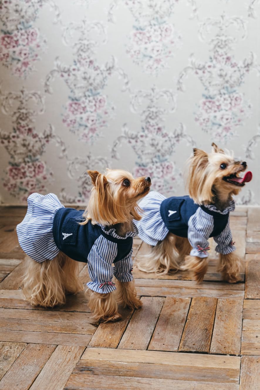 Commercial Use OK! Stylish Dog Clothes: Enjoy Layering and Matching Tops and Bottoms - Japanese Craft Book