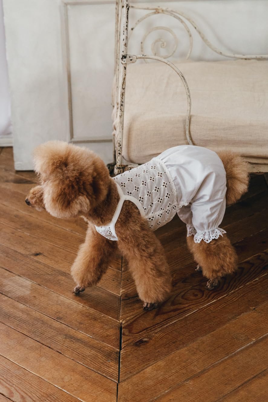 Commercial Use OK! Stylish Dog Clothes: Enjoy Layering and Matching Tops and Bottoms - Japanese Craft Book