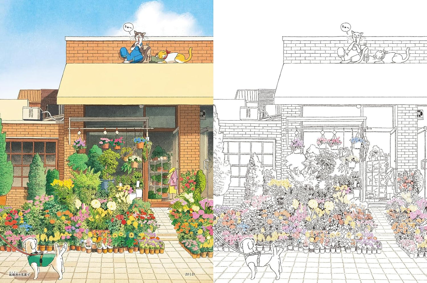 Travel Through Korea’s Four Seasons with Two Charming Cats - Japanese Coloring Book