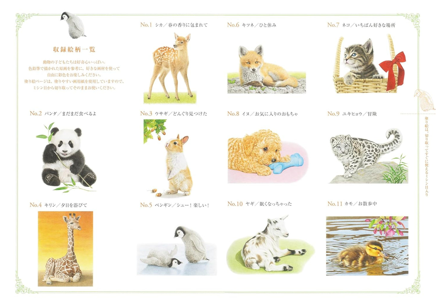 Cute Baby Animals – An Adult Coloring Book - Japanese Coloring Book