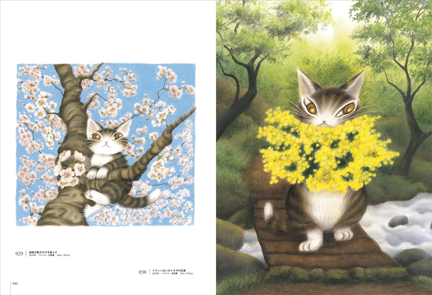 40th Anniversary of Dayan the Cat - Japanese Art Book