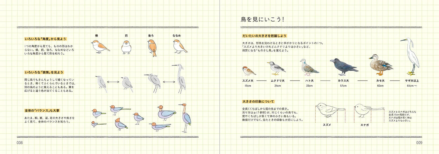 How to Draw Birds Illustration Lesson Book - Japanese Craft Book