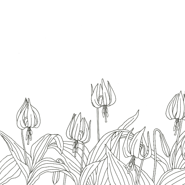 Forest Animals Coloring Book - Japanese Coloring Book