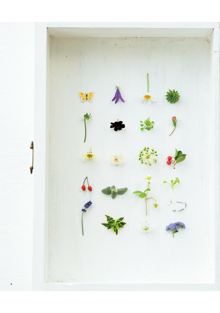 Kazuko Aoki's Stitch Life - Japanese Craft Book