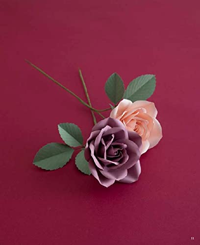 3D Beautiful Origami Flowers - Japanese Craft Book