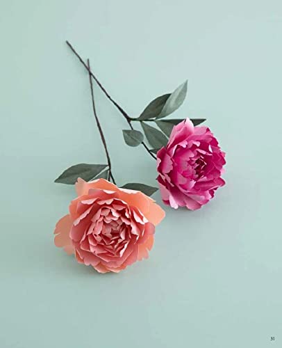 3D Beautiful Origami Flowers - Japanese Craft Book