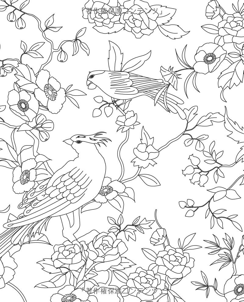 Beautiful Patterns Around the World - Japanese Coloring Book