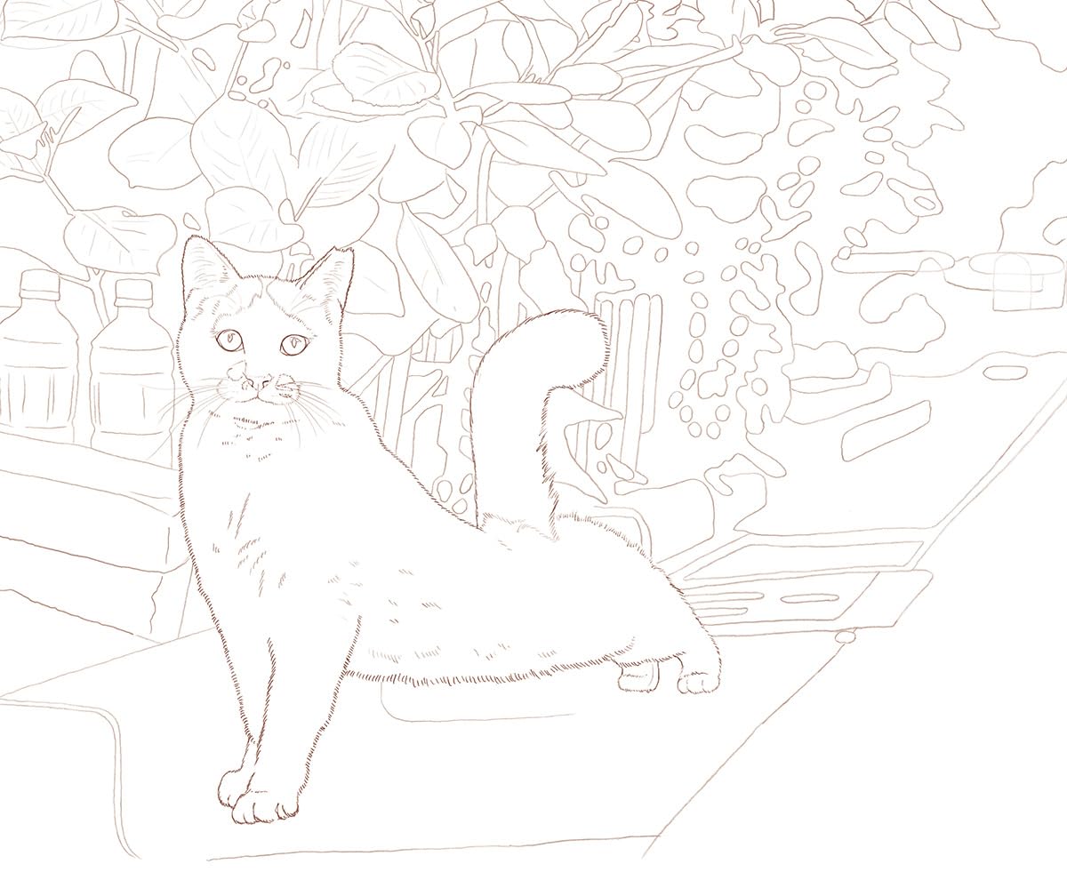 Masayuki Oki's the Free-roaming Cats Coloring Book - Japanese Coloring Book