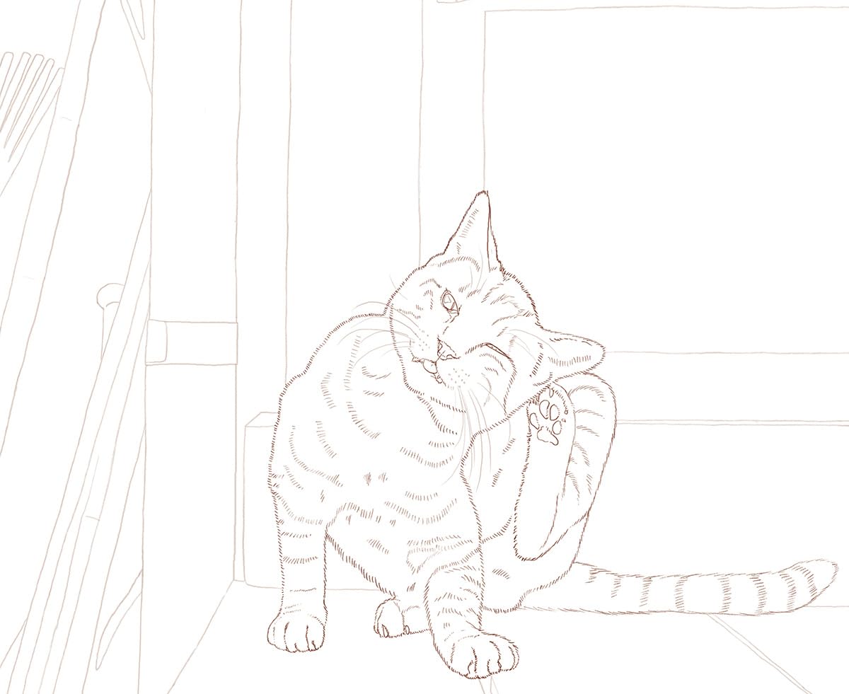 Masayuki Oki's the Free-roaming Cats Coloring Book - Japanese Coloring Book