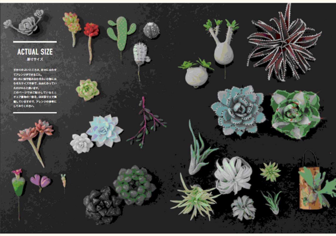 Clay Succulent Plants - Japanese Craft Book