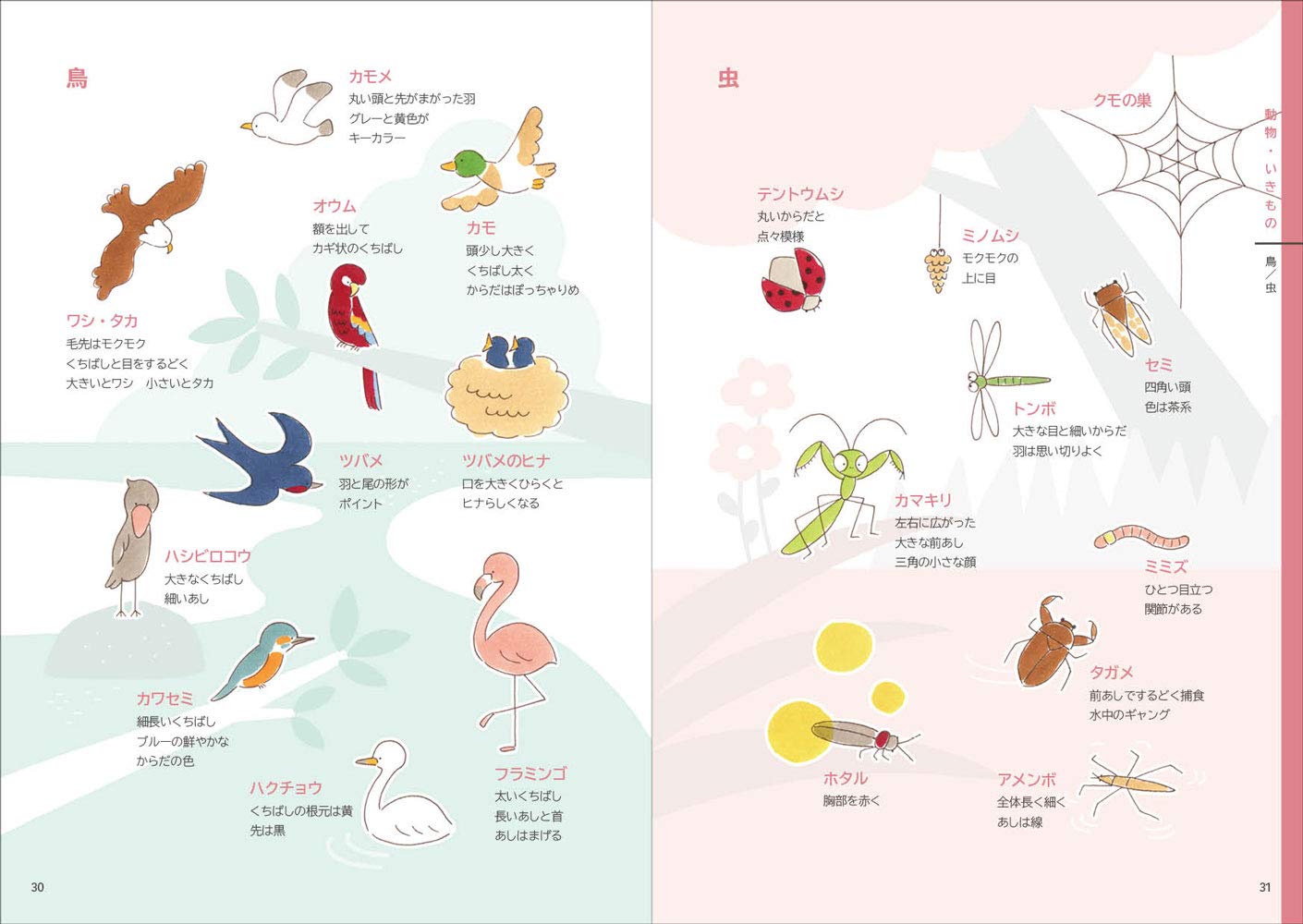 Kamo's Petit Illustrations - Japanese Craft Book