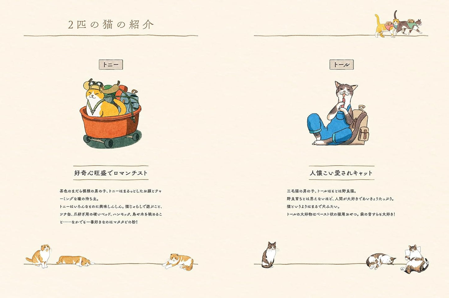 Travel Through Korea’s Four Seasons with Two Charming Cats - Japanese Coloring Book