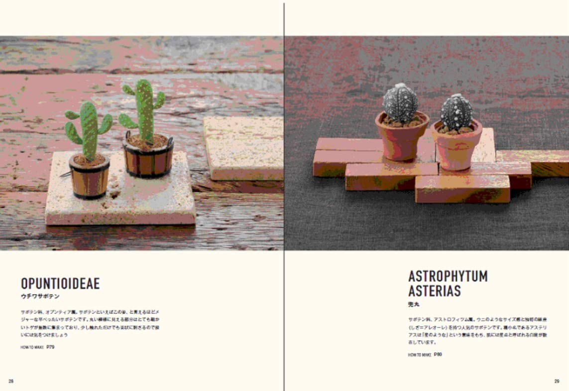 Clay Succulent Plants - Japanese Craft Book