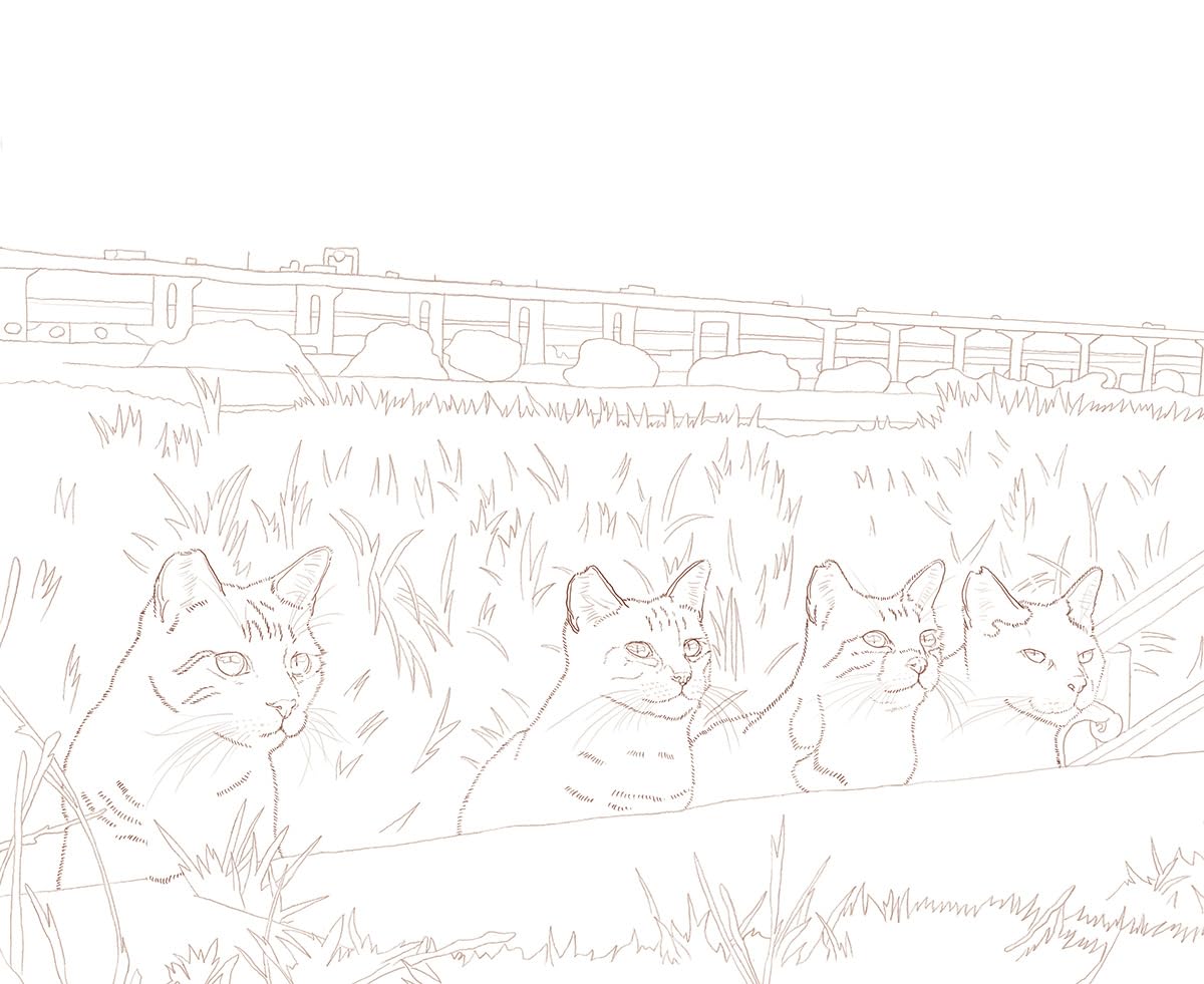 Masayuki Oki's the Free-roaming Cats Coloring Book - Japanese Coloring Book
