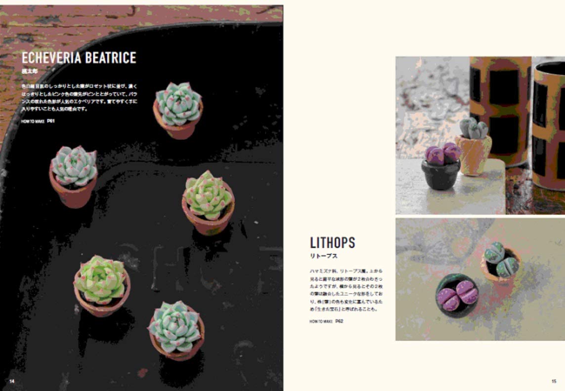 Clay Succulent Plants - Japanese Craft Book