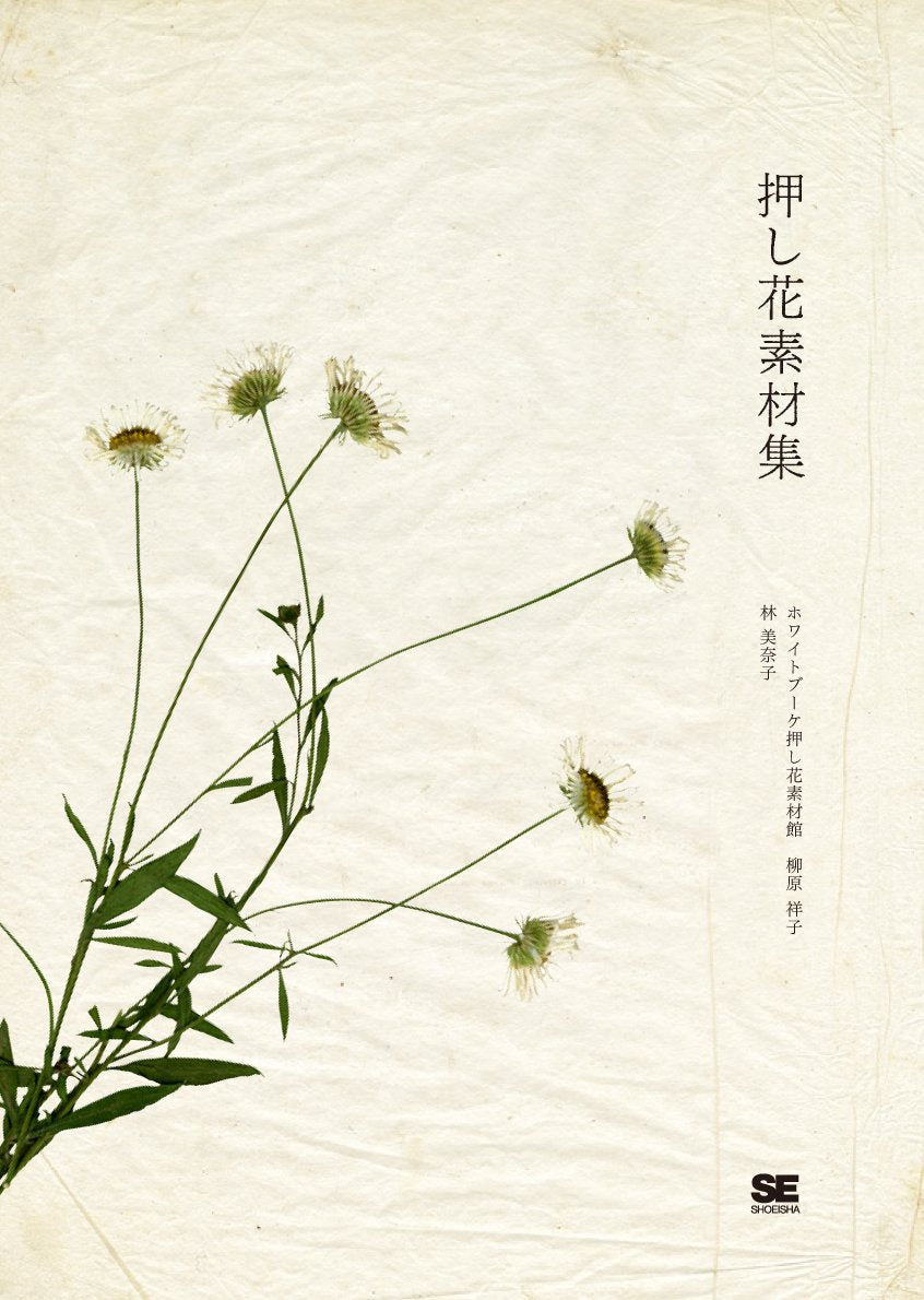 Pressed Flower Materials Collection - Japanese Book