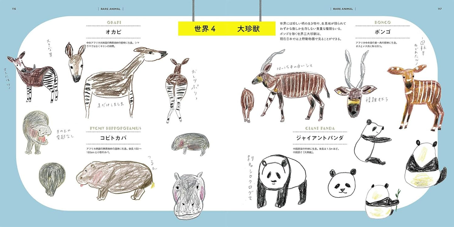 How to Draw Zoo Animals Illustration Lesson Book - Japanese Craft Book