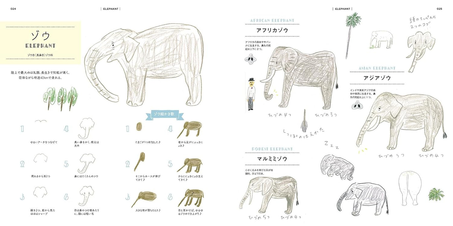How to Draw Zoo Animals Illustration Lesson Book - Japanese Craft Book