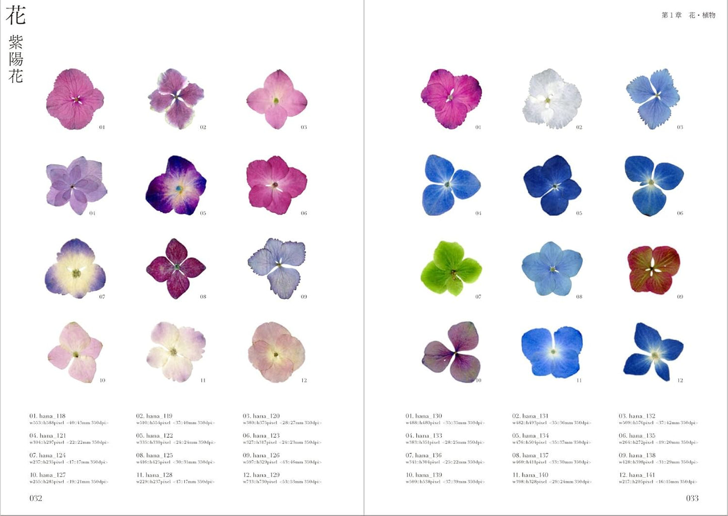 Pressed Flower Materials Collection - Japanese Book