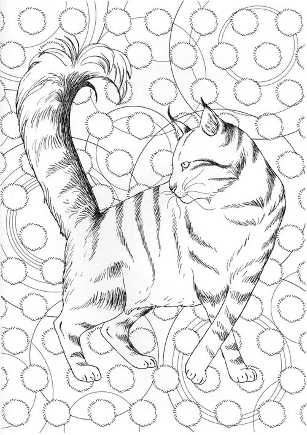 Cat Therapy Coloring Book - Japanese Coloring Book