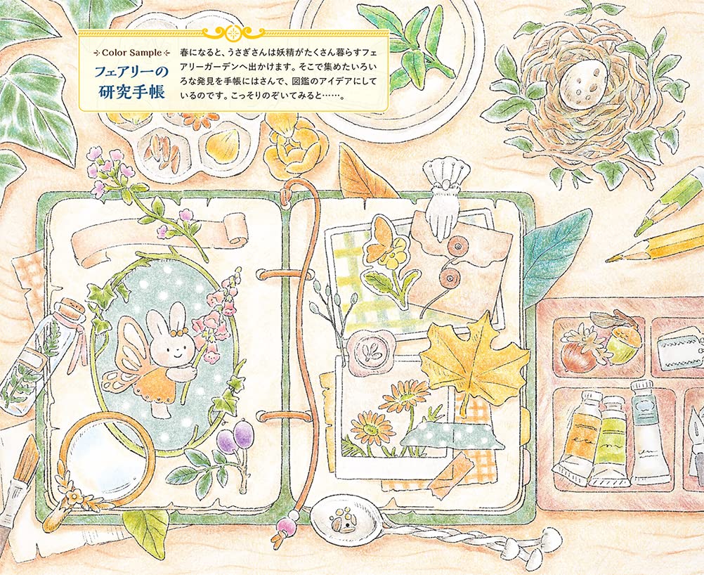 Rabbit's fairy tale fantasy Coloring Book - Japanese Coloring Book