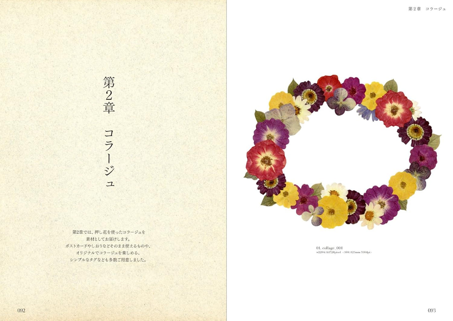 Pressed Flower Materials Collection - Japanese Book