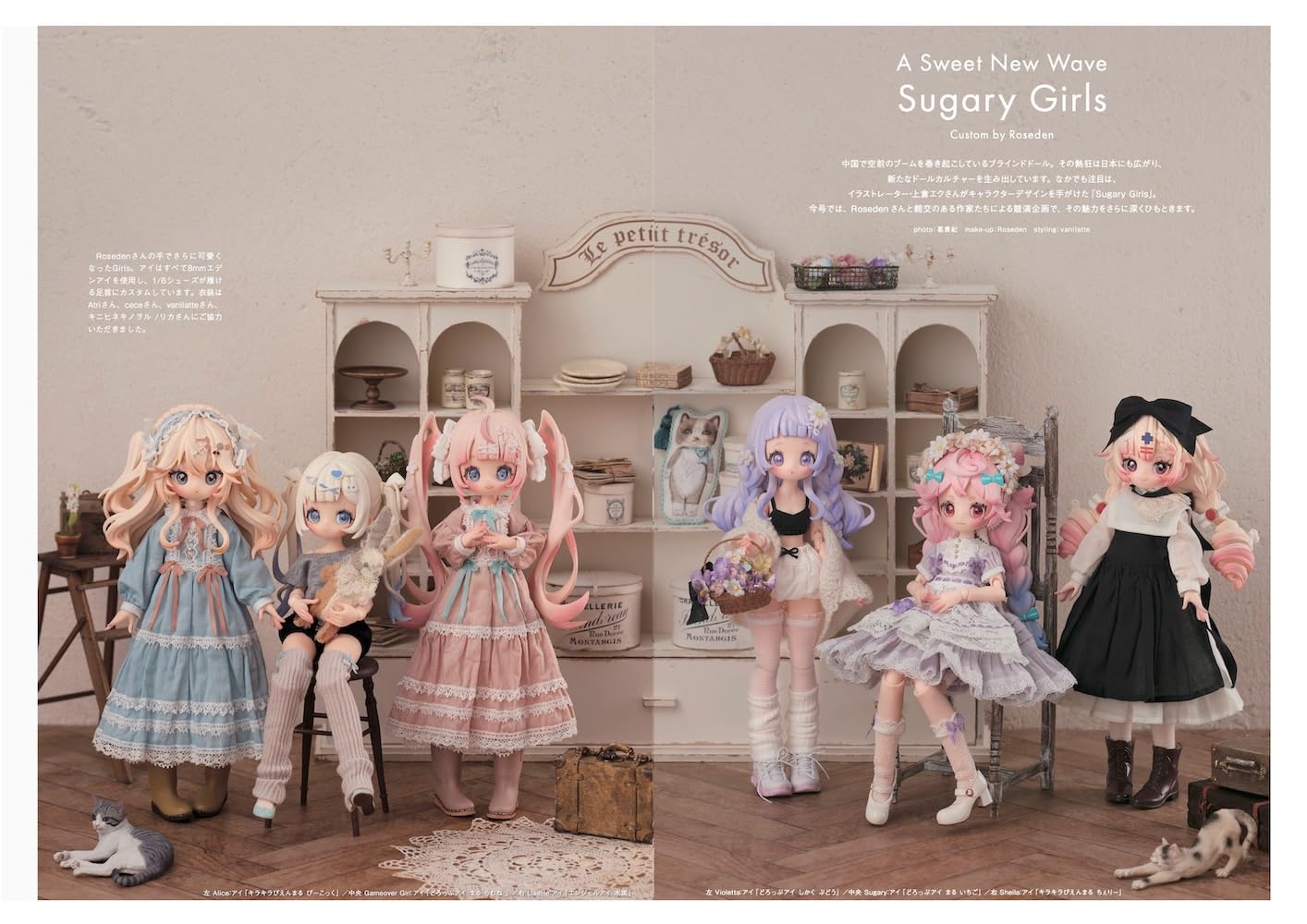 Dollybird Vol 41 - Japanese Craft Book