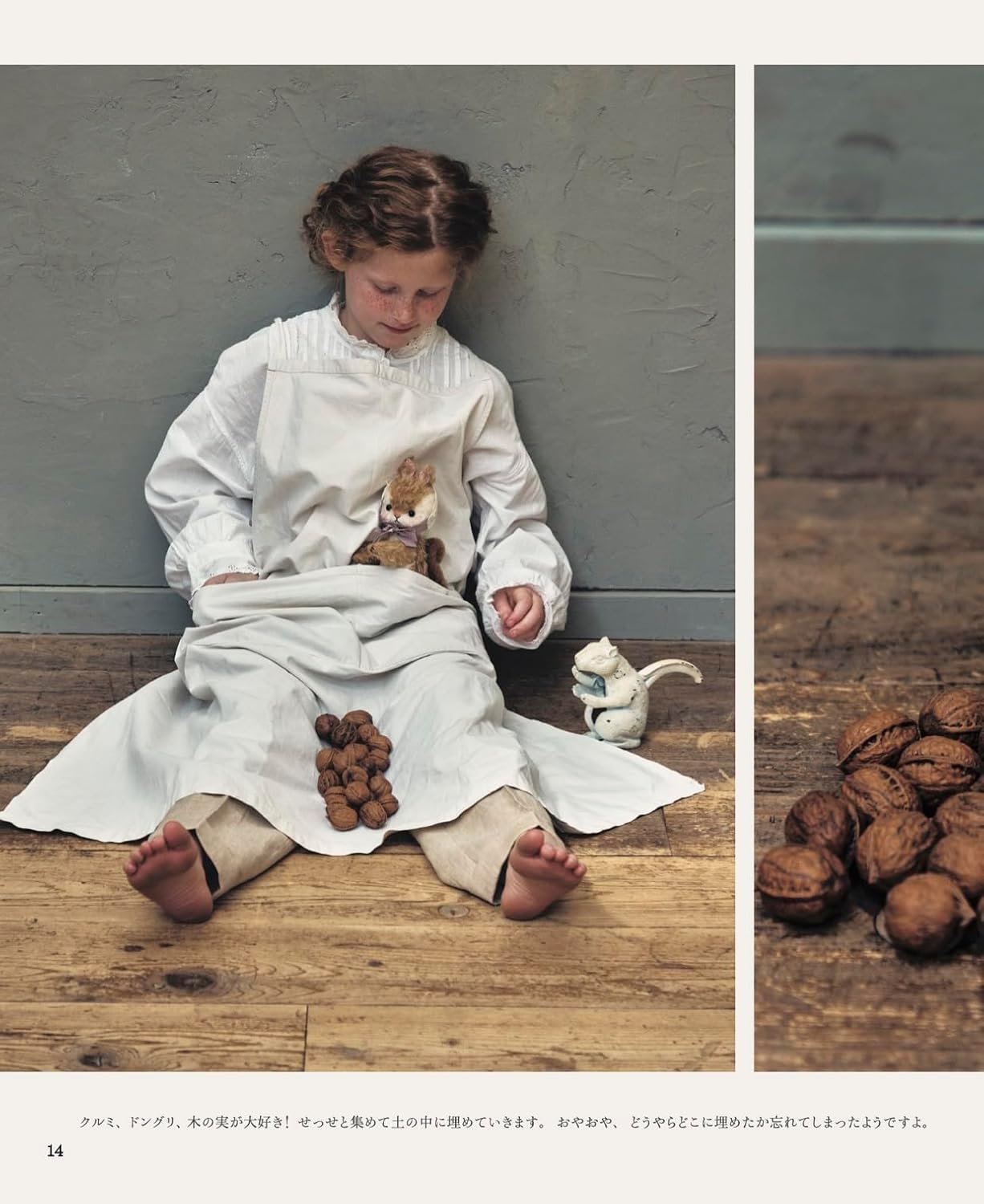 Teddy Animals : My Little Lovers - Japanese Craft Book