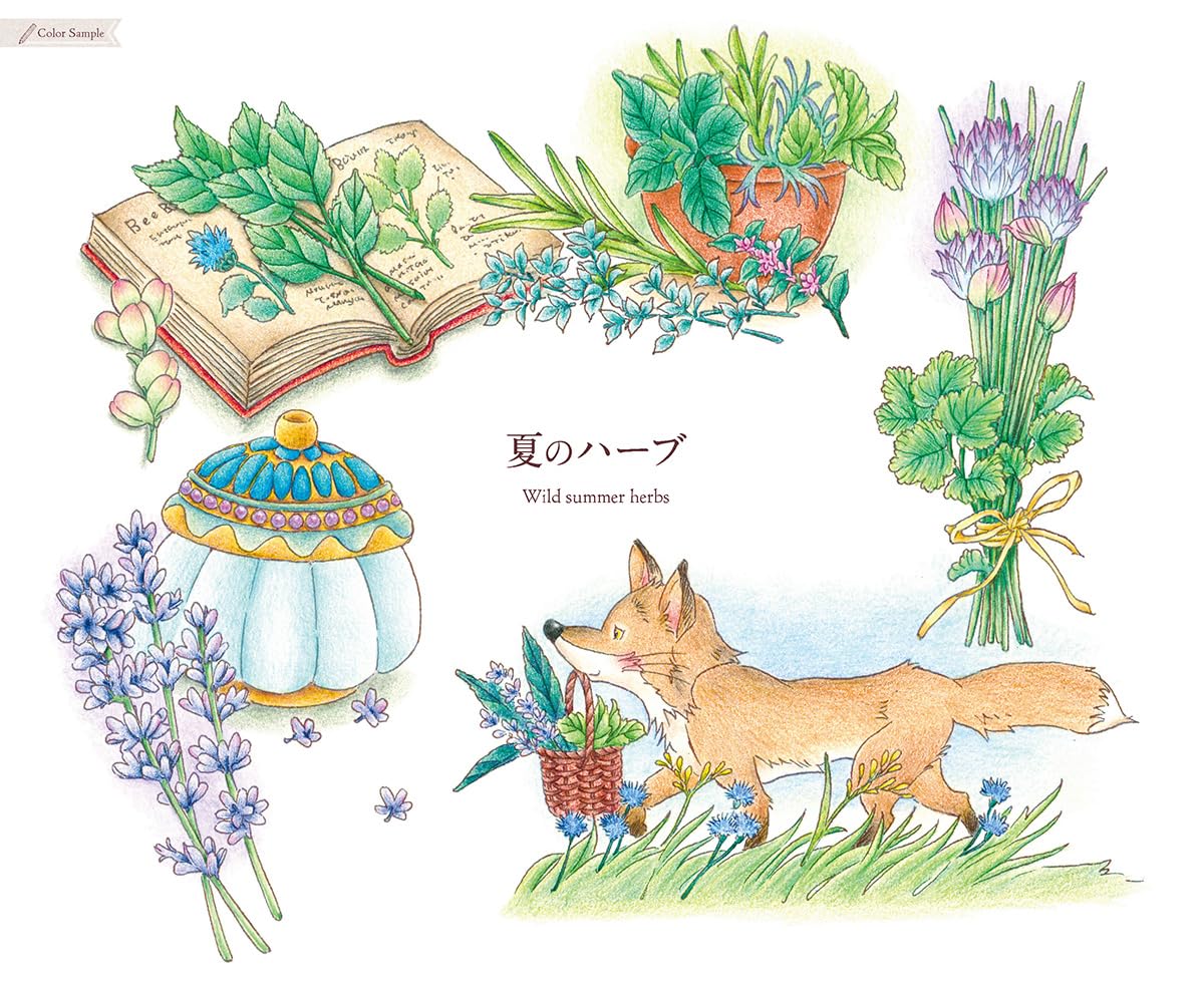 Seasonal Wreaths of plants and friends - Japanese Coloring Book