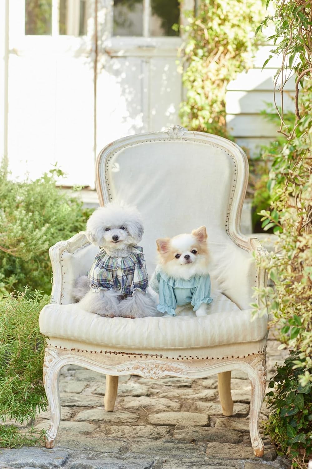 Cute Dog Clothes for Small Dogs - Dog Clothes Pattern Book