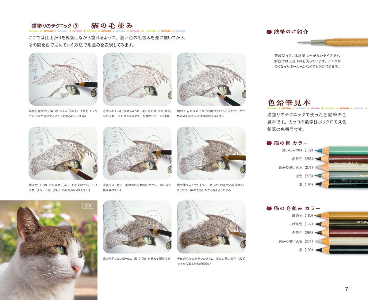 Masayuki Oki's the Free-roaming Cats Coloring Book - Japanese Coloring Book