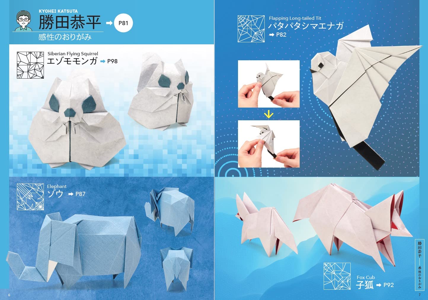 Transcendent Origami - Japanese Craft Book